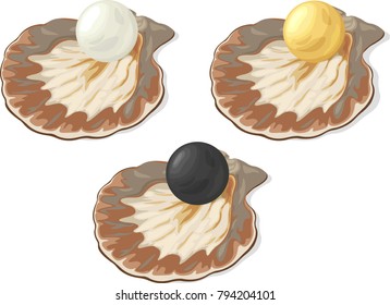 Three cartoon shiny pearls (white, golden and black) inside the shell on white background