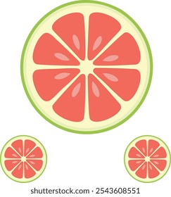 Três fatia de desenho animado de citrinos ilustração vetor, pomelo fresco, vetor de estilo plano