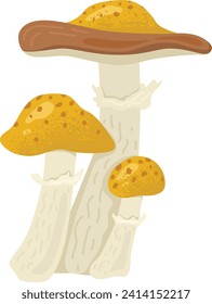 Three cartoon style yellow mushrooms with brown caps, natural fungi illustration. Mushroom picking, autumn forest harvest, vegetation vector illustration.