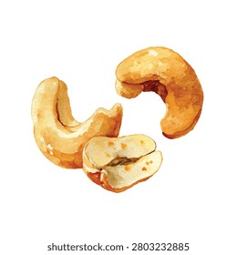 Three cashew nuts on a white background
