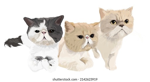 Three Cats Chubby Face Animals Vector Art