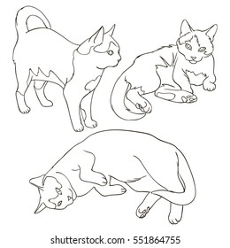 Three Cats Different Poses Line Drawing Stock Vector (Royalty Free ...