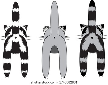 three cats on a white background