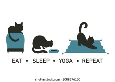 Three cats on a white background. Eat, sleep, yoga, repeat. Text.