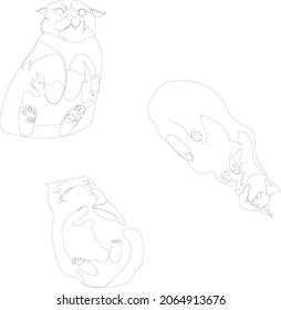 Three cats in one line. Cats from below. Cats are lying. A set of three images. Icons with cats.