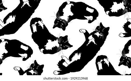 Three cat's superpositions. Vector hand-drawn seamless pattern