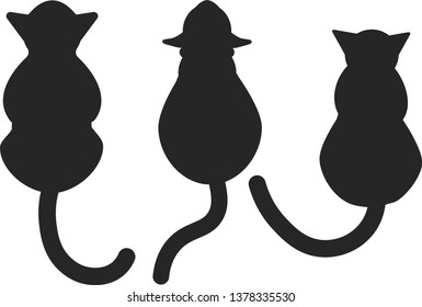 three cats top view