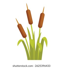 Três cattails estão crescendo a partir da grama do pântano nesta ilustração colorida