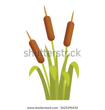 Three cattails are growing out of swamp grass in this colorful illustration