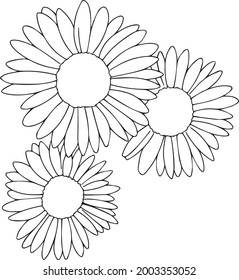 three chamomile flowers, lineart vector illustration with isolated background, can be used as a tattoo sketch