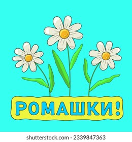 Three chamomile flowers with white petals and a yellow core with leaves with the inscription "CHAMOMILE" on a square blue background. Children's drawings and individual elements. Vector illustration.