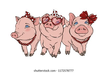 Three cheerful elegant pigs fashionista, vector illustration on white background