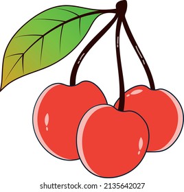 Three cherries isolated on white background Red color vector.