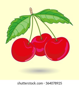 Three Cherries with Leaves Vector Illustration.