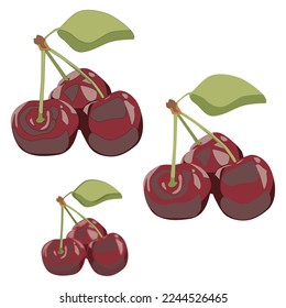 Three cherries on a branch with a leaf flat with shadows on a white background