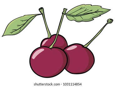 Three cherries on stalk with leaves