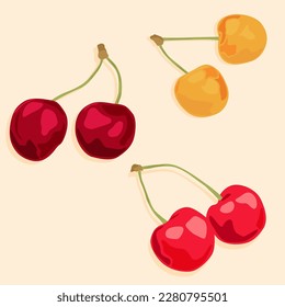 Three cherry berries in red, yellow, and burgundy at an angle. Natural products and dessert. Food icons.