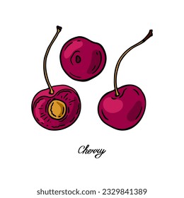 Three Cherry. Color berries set. Hand-drawn flat image. Vector illustration.