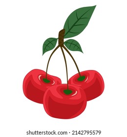 three cherry with transparent background cartoon illustration. Suitable for food and health article