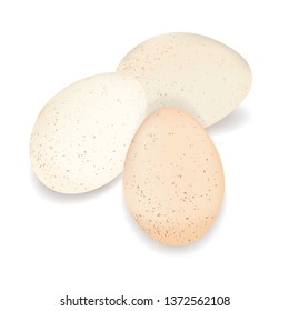 three chicken eggs beige with speckles on the shell. realistic vector isolated on white background