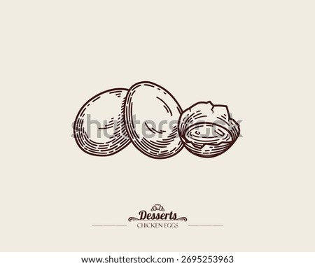 Three chicken eggs. One broken egg, yolk visible. Vintage vector line art illustration.