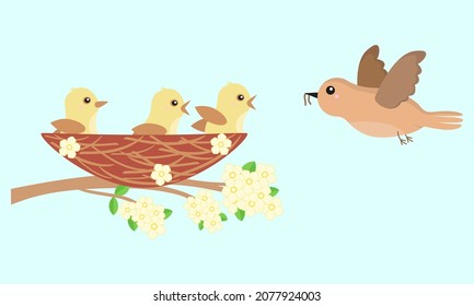 Three chicks in the nest and mother bird flying to feed them. Cartoon vector illustration for kids