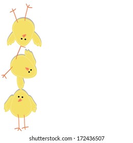 Three chicks stacked on top of each other, with a white background