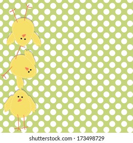 Three chicks stacked on top of each other, with a polka dot background