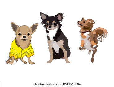 Three chihuahua illustration vector