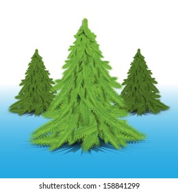 three Christmas trees