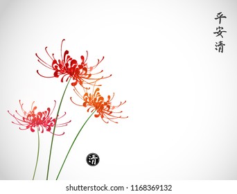 Three chrysanthemum flowers on white background. Traditional Japanese ink painting sumi-e. Hieroglyphs - peace, tranquility, clarity.