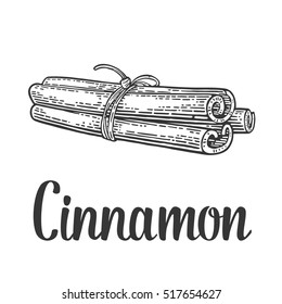 Three cinnamon sticks tied by rope. Isolated on white background. Vector black vintage engraving illustration. Hand drawn design element and lettering for label and poster