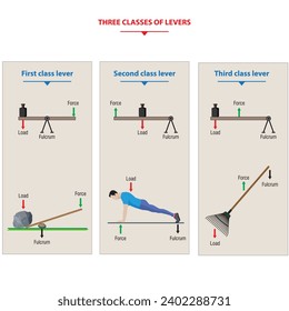 The three classes of levers systems
