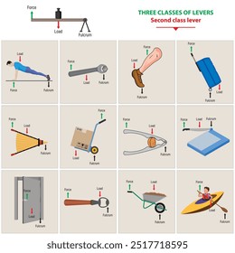 The three classes of levers systems