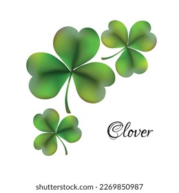 Three clover leaves. Elements for Saint Patrick's Day. Vector illustration.