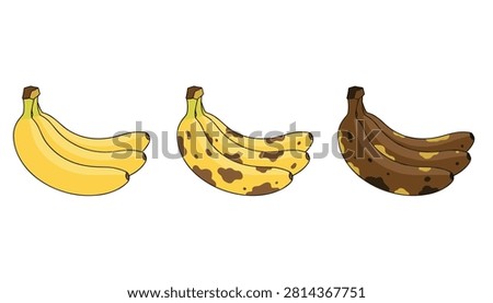 Three clusters of bananas showing progression from fresh yellow fruit to overripe brown stages in a simple flat illustration style.