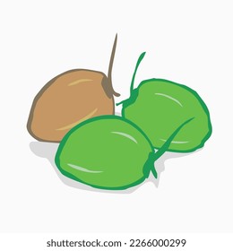Three coconut freehand drawing vector