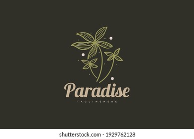 Three coconut trees with abstract ornaments with line concept in vintage style for beauty, health care or natural product logos