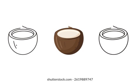 Three Coconut Vector Art Illustrations