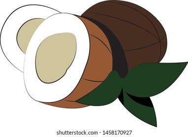 
three coconuts lie on a sheet