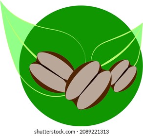 Three coffee beans. In the background there are leaves and an even green circle.