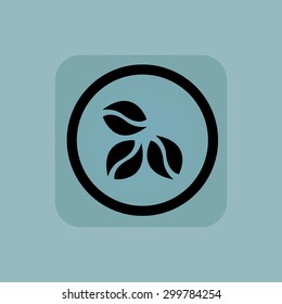 Three coffee beans in circle, in square, on pale blue background