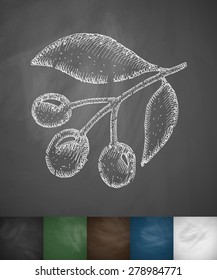 three coffee beans icon. Hand drawn vector illustration. Chalkboard Design