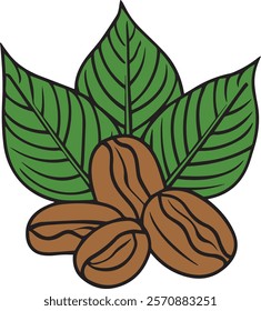 Three coffee beans placed in front of three detailed leaves