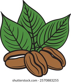 Three coffee beans placed in front of three detailed leaves