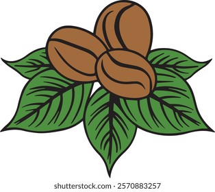 Three coffee beans placed in front of three detailed leaves