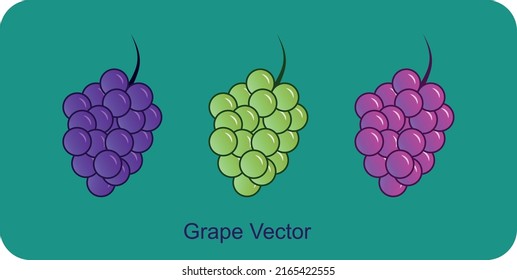 Three color of Grapes vector  