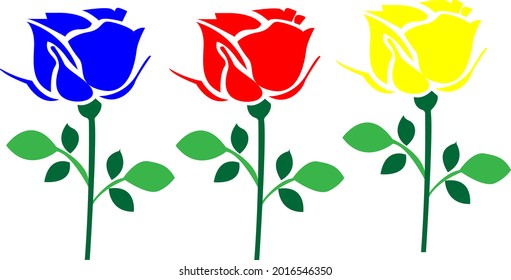 three color rose blue red and yellow