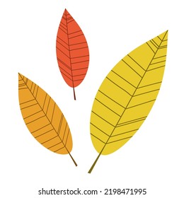 Three colored autumn fallen leaves, decorative illustration in a flat style. Red, yellow and orange leaves for decor, autumn designs, cartoons, websites.