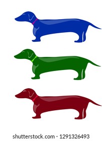 three colored dachshunds on white background